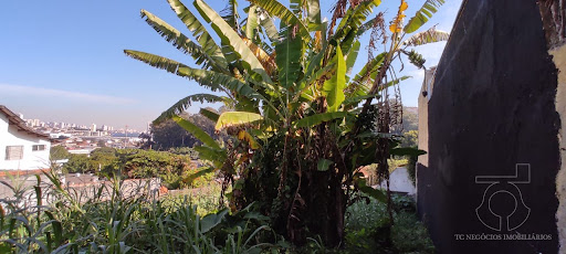 Terreno em Rolinópolis  -  São Paulo