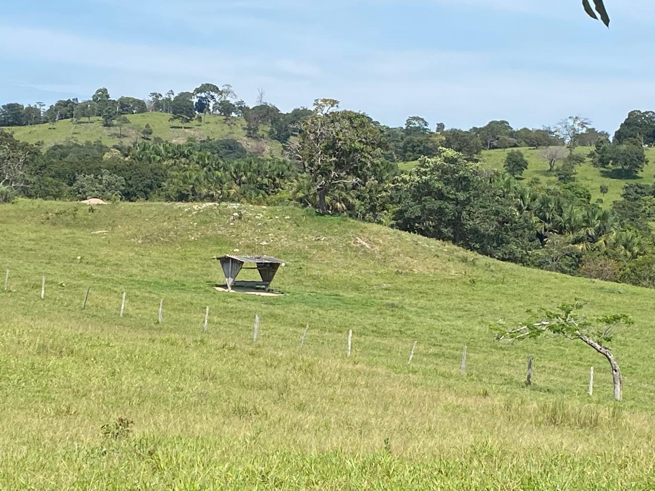 Rural à venda no Zona Rural, Itapuranga (GO) — foto 14 de 18