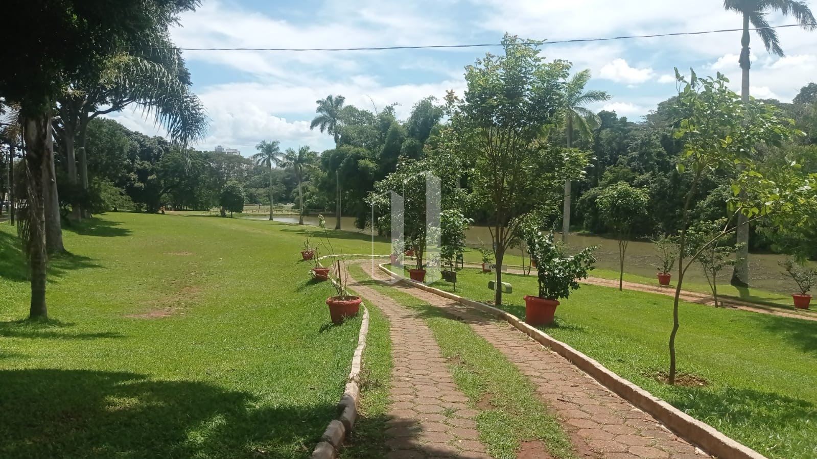 Terreno à venda com 420m² de terreno no Setor Pedro Ludovico, Goiânia (GO) — foto 8 de 11