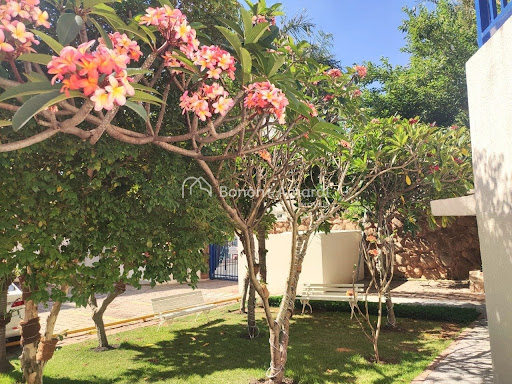 Apartamento, 2 quartos, 107 m² - Foto 29