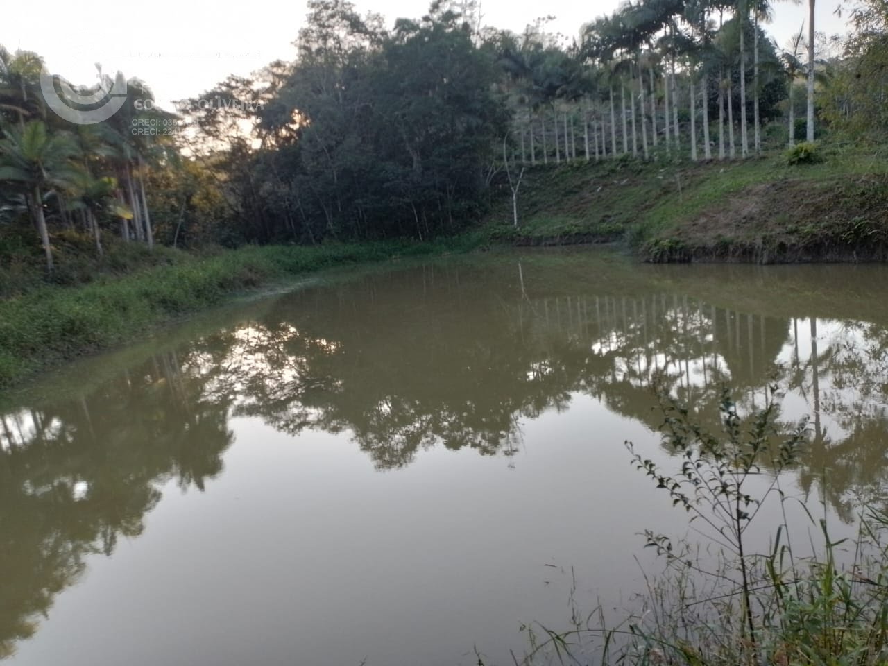 REPRESA
