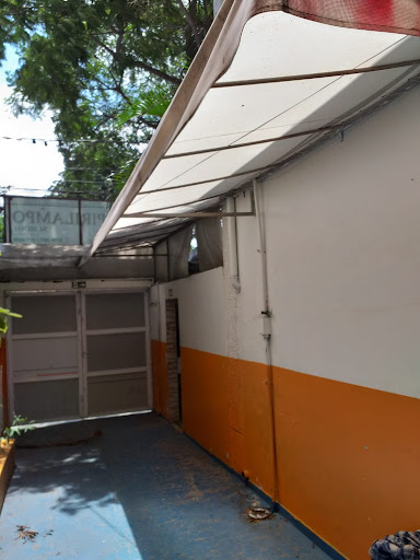 Casa Comercial em Cambuci  -  São Paulo