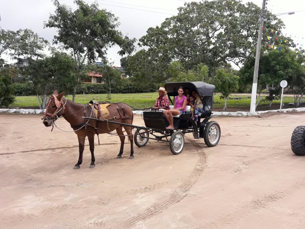Terreno à venda com 1000m² de terreno no Novo Gravatá, Gravatá (PE) — foto 15 de 27