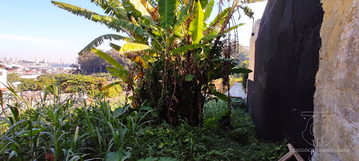 Terreno em Rolinópolis  -  São Paulo