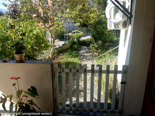 Foto 03