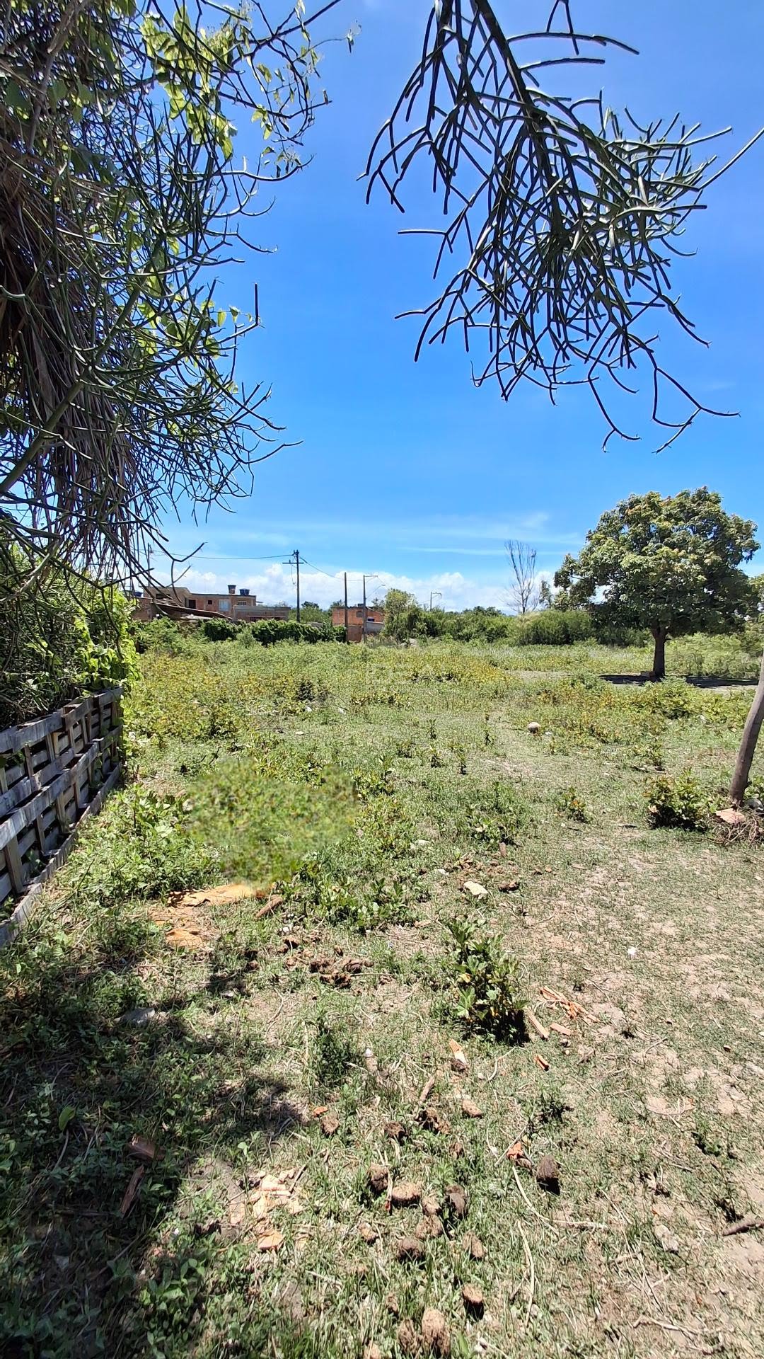 Rural à venda com 33000m² de terreno no Vila Manhães, Campos dos Goytacazes (RJ) — foto 5 de 10