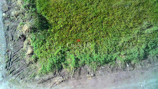 Terreno a venda no Praia Grande em Matinhos