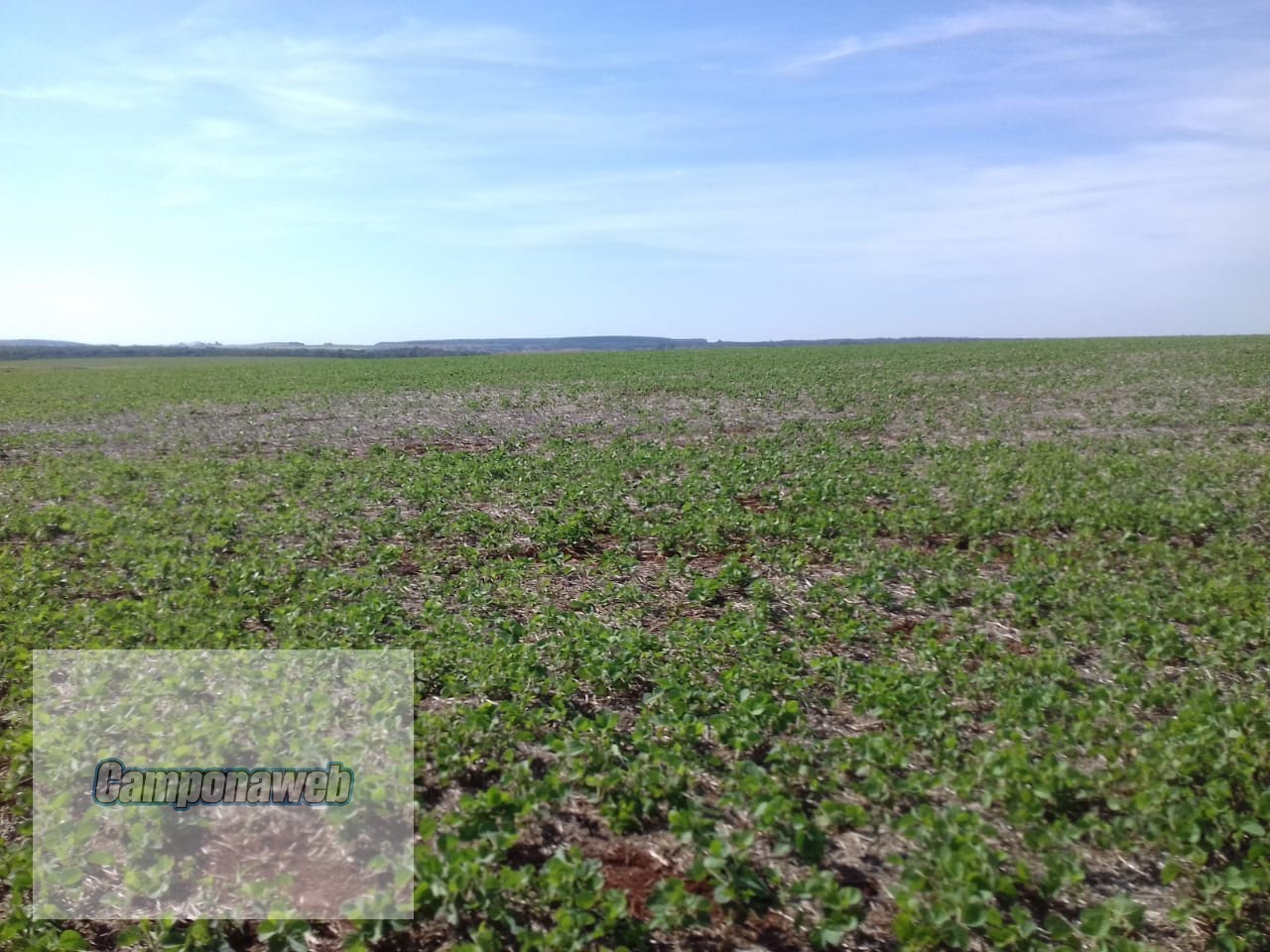 Área agricultável