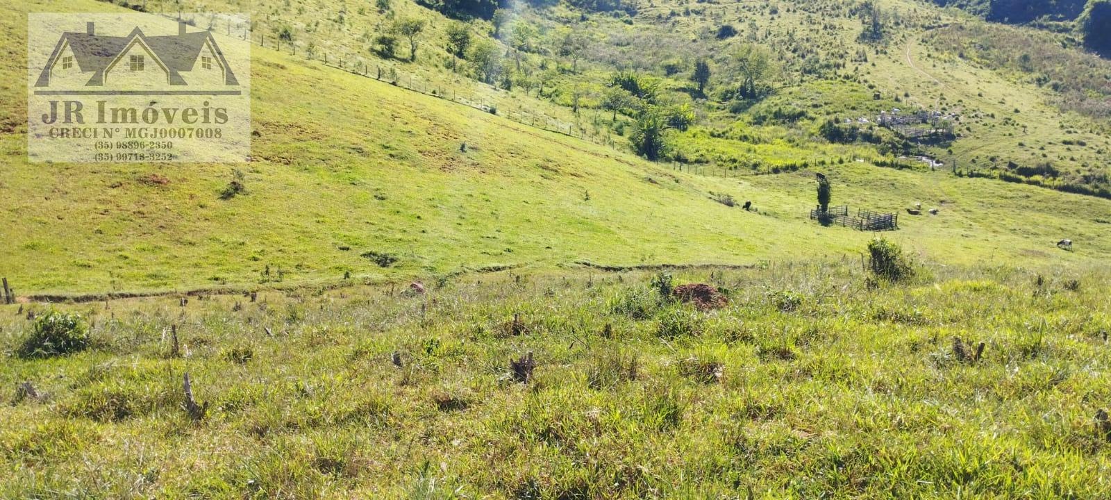 Terreno à venda com 81000m² de terreno no Anhumas, Pedralva (MG) — foto 2 de 5