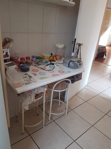Apartamento em Cambuci - São Paulo, SP