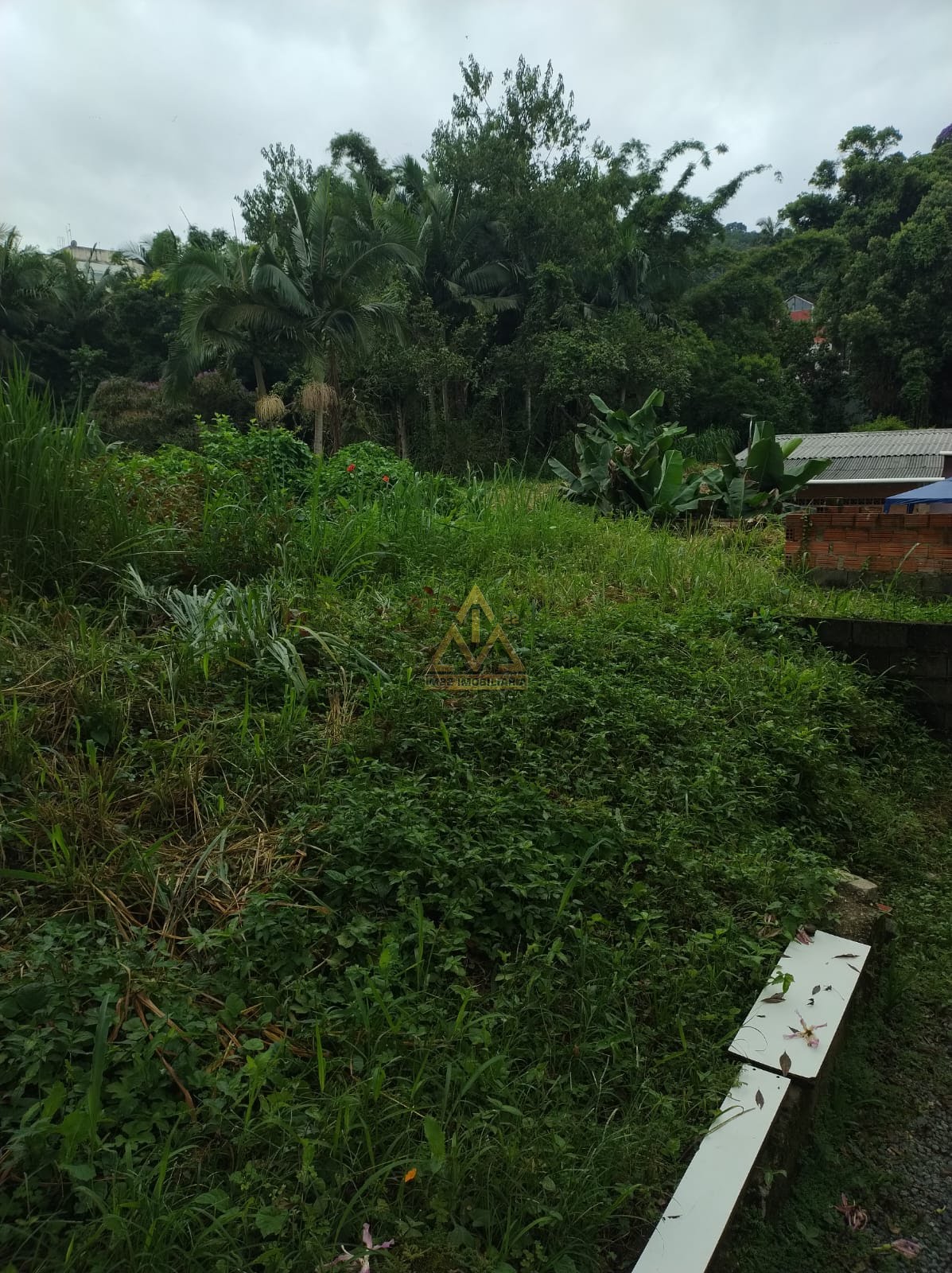 Terreno à venda com 160m² de terreno no Ribeirão Fresco, Blumenau (SC) — foto 4 de 9