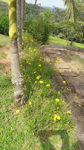 Jardim