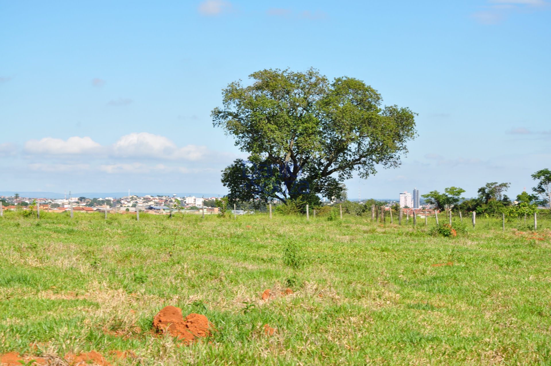 Rural à venda com 20000m² de terreno no Novo Santo Antônio, Araxá (MG) — foto 15 de 20