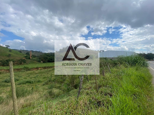 Lote / Terreno em Zona Rural  -  Ponte Nova