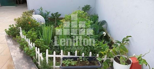 FOTO_3