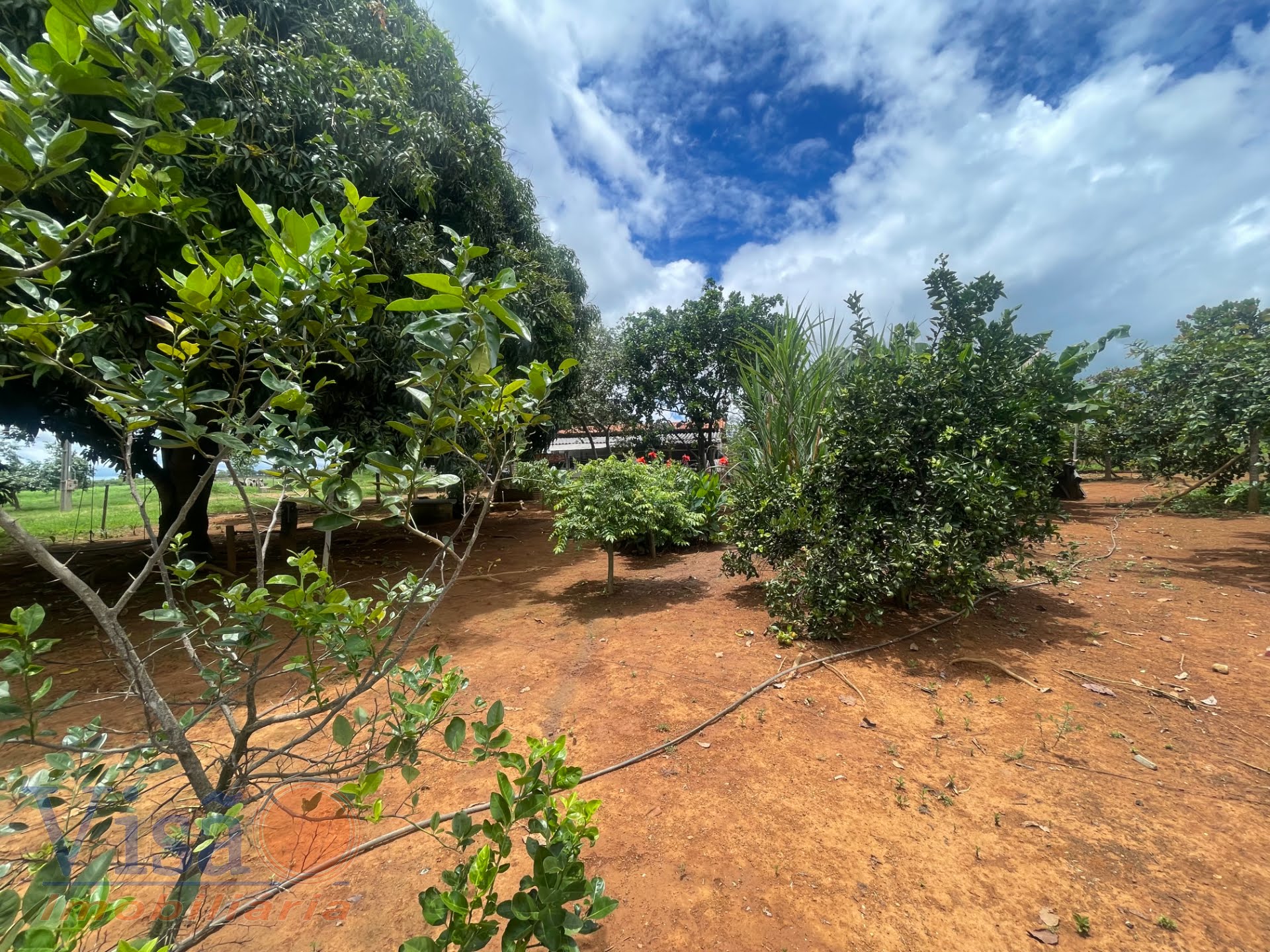 Rural à venda com 90m² de terreno no Área Rural de Paracatu, Paracatu (MG) — foto 17 de 23