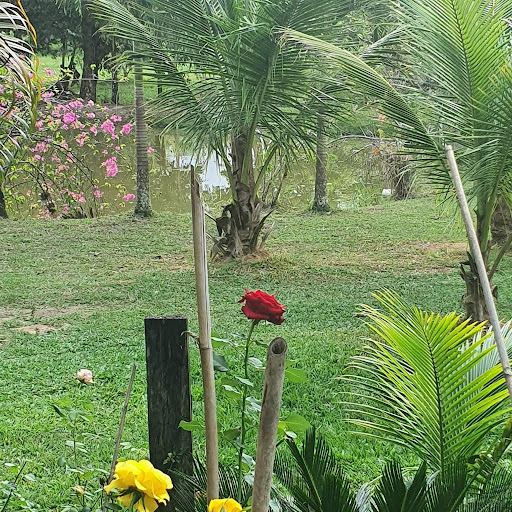 Sítio em Reserva Biológica da União  -  Rio das Ostras