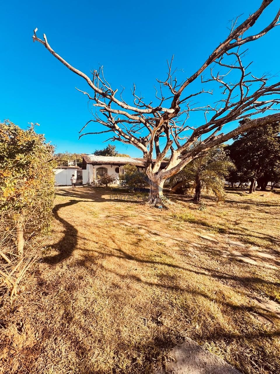 Rural à venda com 4000m² de terreno no Fazenda Velha, Sete Lagoas (MG) — foto 8 de 23