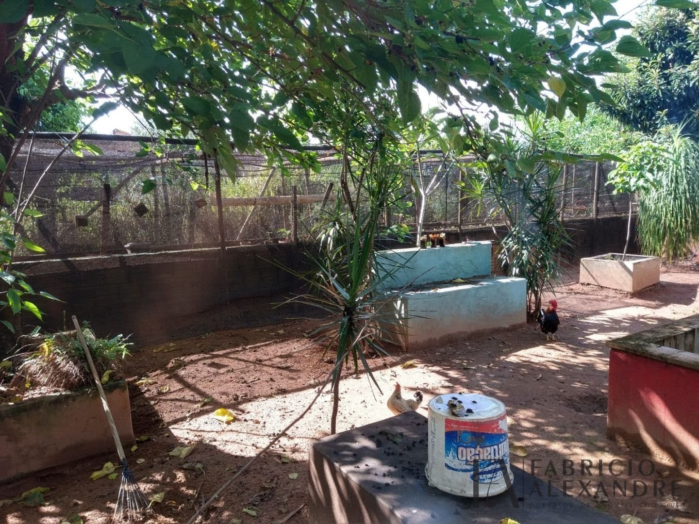Casa à venda com 4 quartos, 1 suíte, 4 vagas e 200m² no Condomínio Curimbatas, Mendonça (SP) — foto 2 de 30
