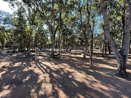Chácara em Chácara das Mansões  -  Campo Grande