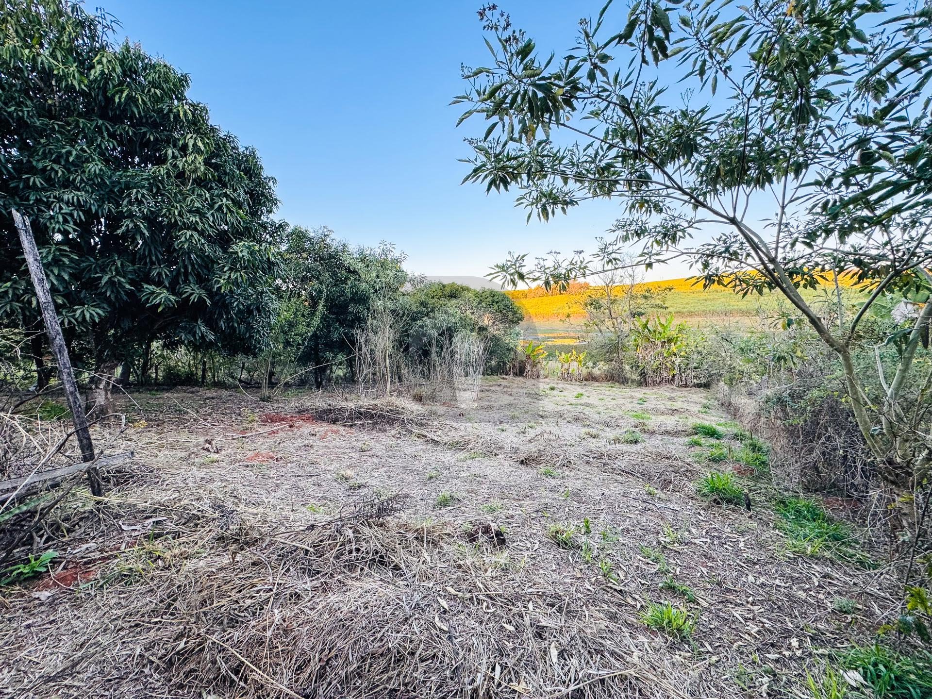 Chácara, 4 quartos, 1200 m² - Foto 12