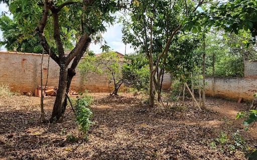 quintal fundos