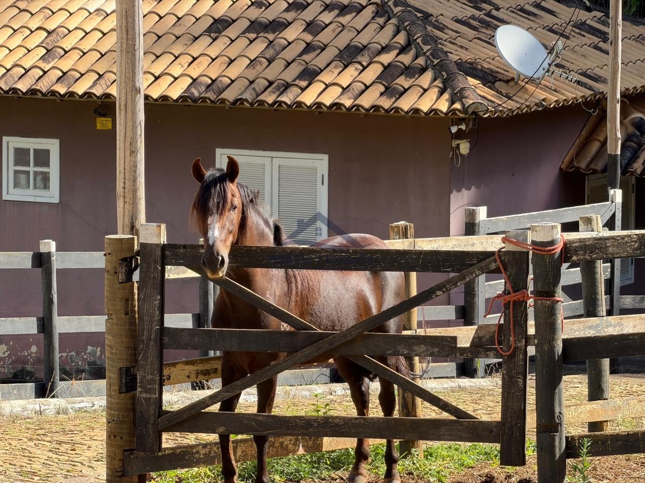 Rural à venda com 60000m² de terreno no Canaã, Sete Lagoas (MG) — foto 12 de 27
