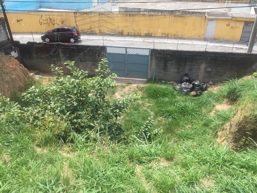 Terreno