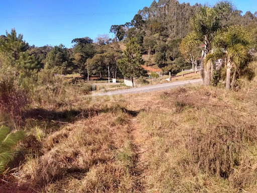 Lote / Terreno em Serra Alta  -  São Bento do Sul