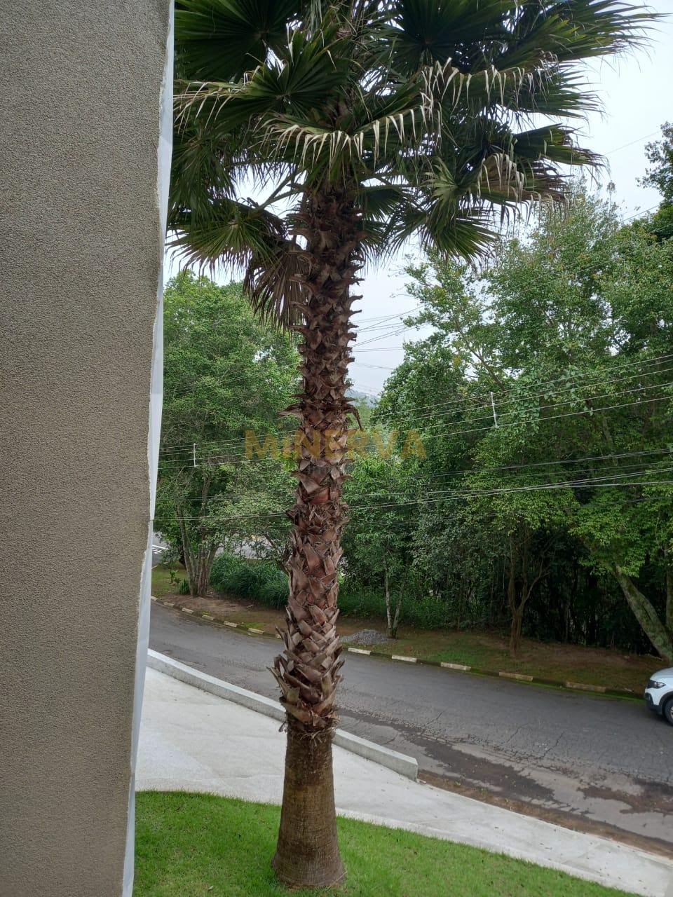 Casa à venda com 3 quartos, 3 suítes, 3 vagas e 250m² no Jardim Imperial Hills III, Arujá (SP) — foto 11 de 30