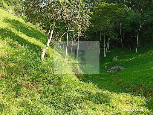 Sítio em Centro  -  Itamarati de Minas