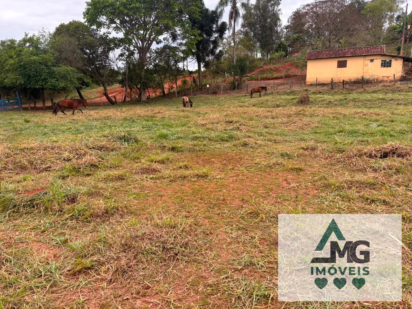 Terreno à venda com 4000m² de terreno no Area Rural Cambuquira, Cambuquira (MG) — foto 14 de 30