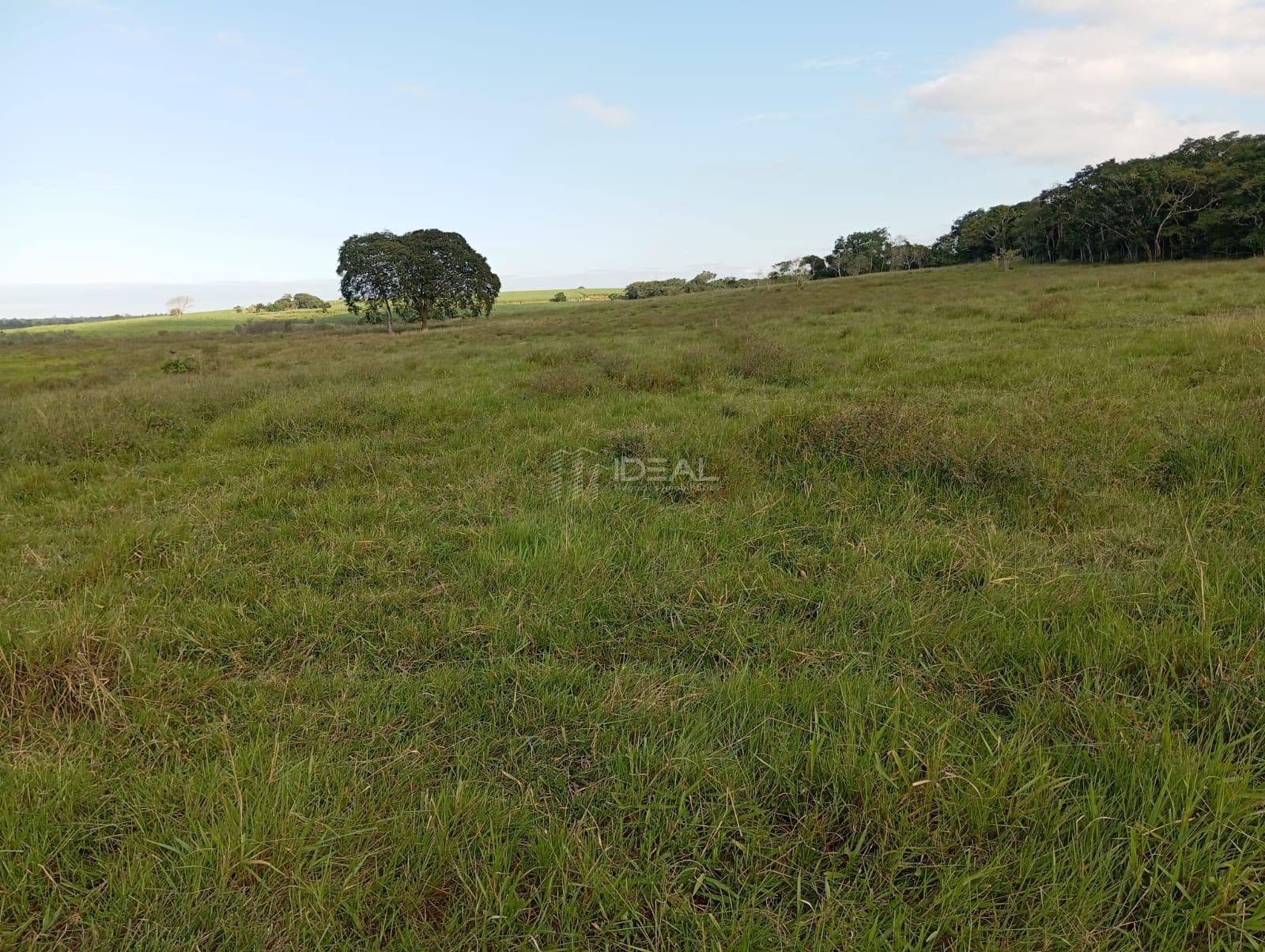 Rural à venda com 1280000m² de terreno no Valão Seco, São Francisco de Itabapoana (RJ) — foto 7 de 30