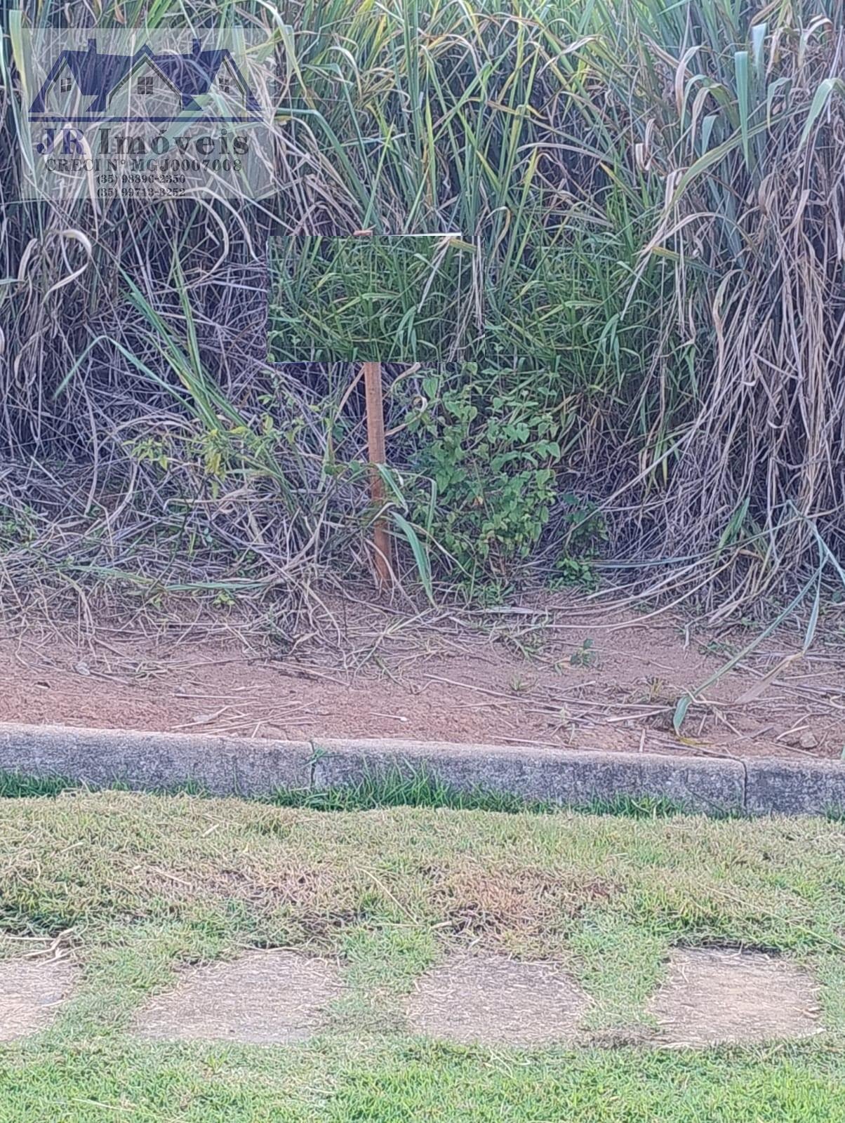 Terreno à venda no Carneiros, Piranguinho (MG) — foto 9 de 12