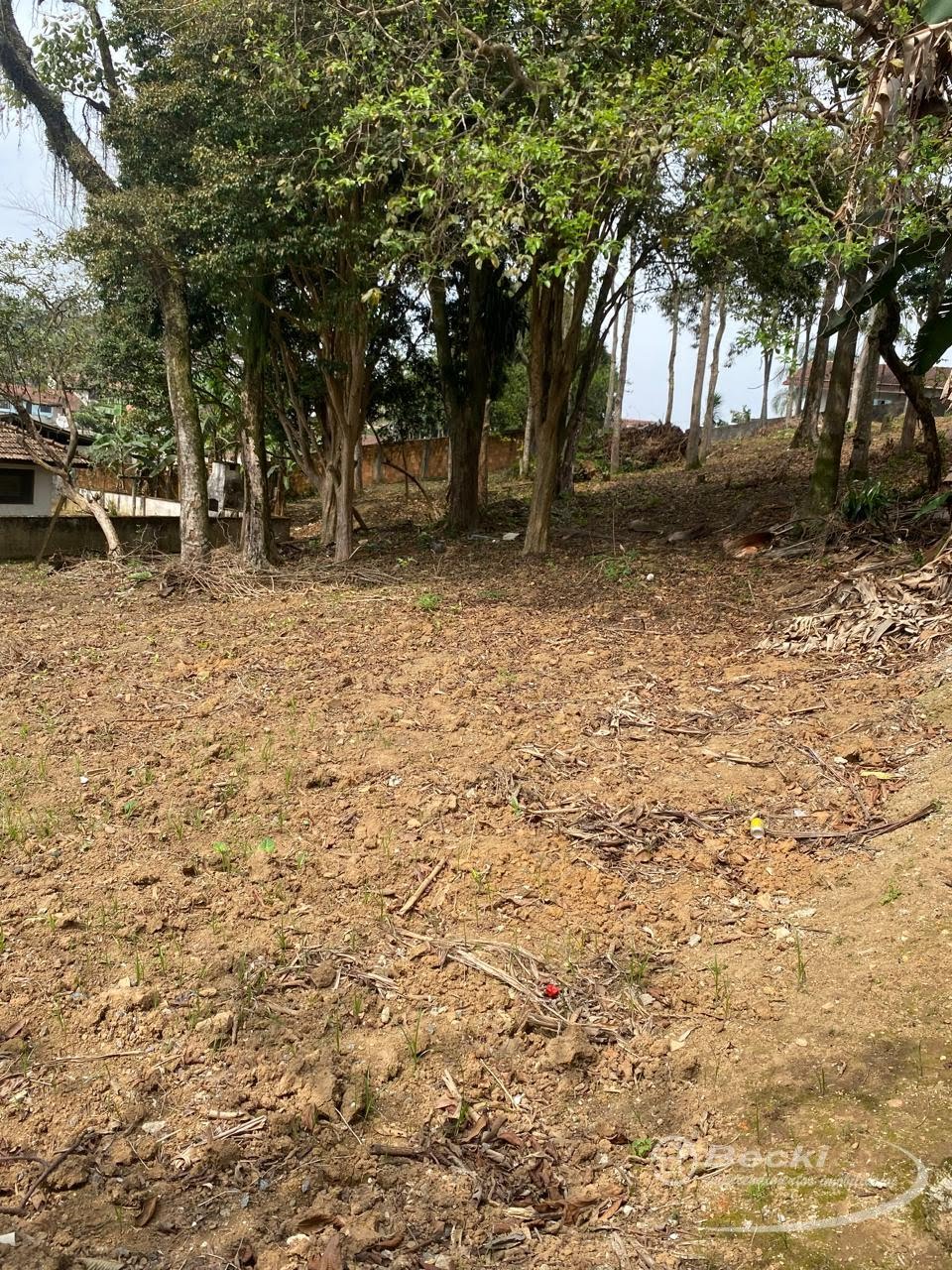 Terreno à venda no Jarivatuba, Joinville (SC) — foto 6 de 14