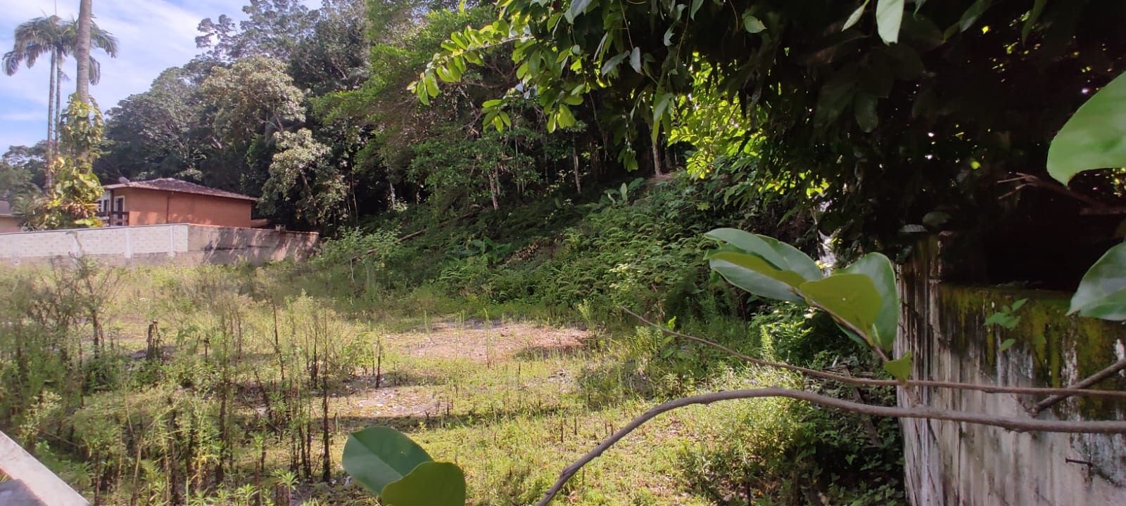 Terreno à venda com 1100m² de terreno no Tenório (praia Vermelha), Ubatuba (SP) — foto 4 de 7