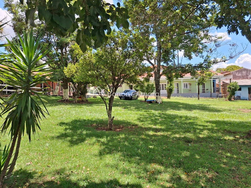 Chácara, 4 quartos, 600 m² - Foto 13