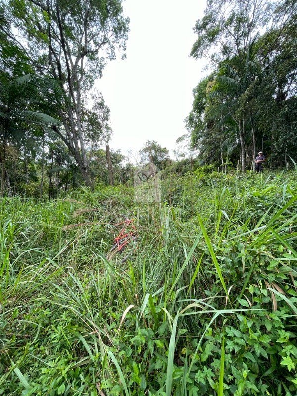 Foto 03