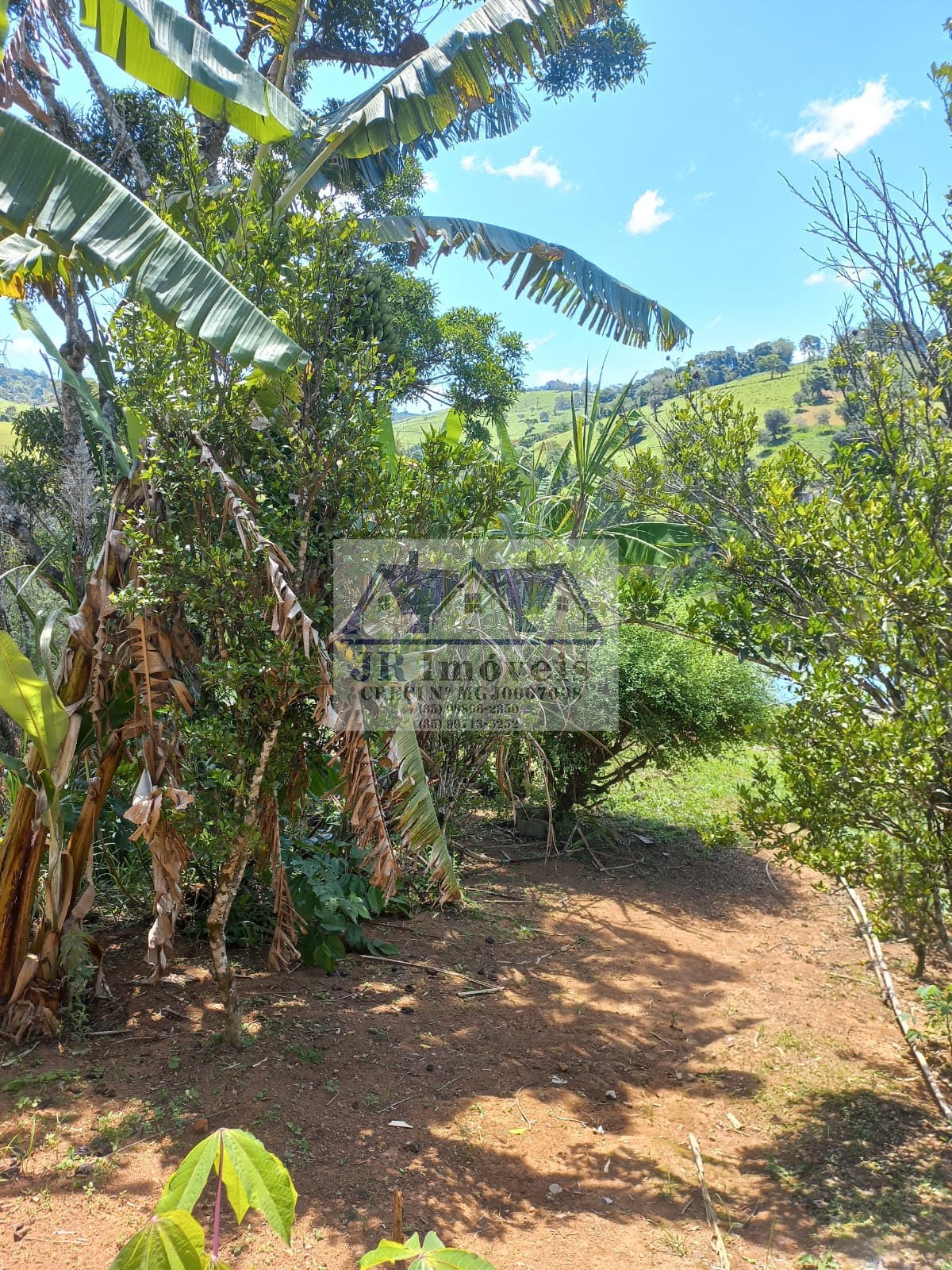 Rural à venda com 1500m² de terreno no Pinhal Redondo, Piranguinho (MG) — foto 18 de 30