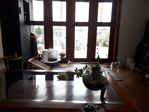 Apartamento em Vila Mariana  -  São Paulo