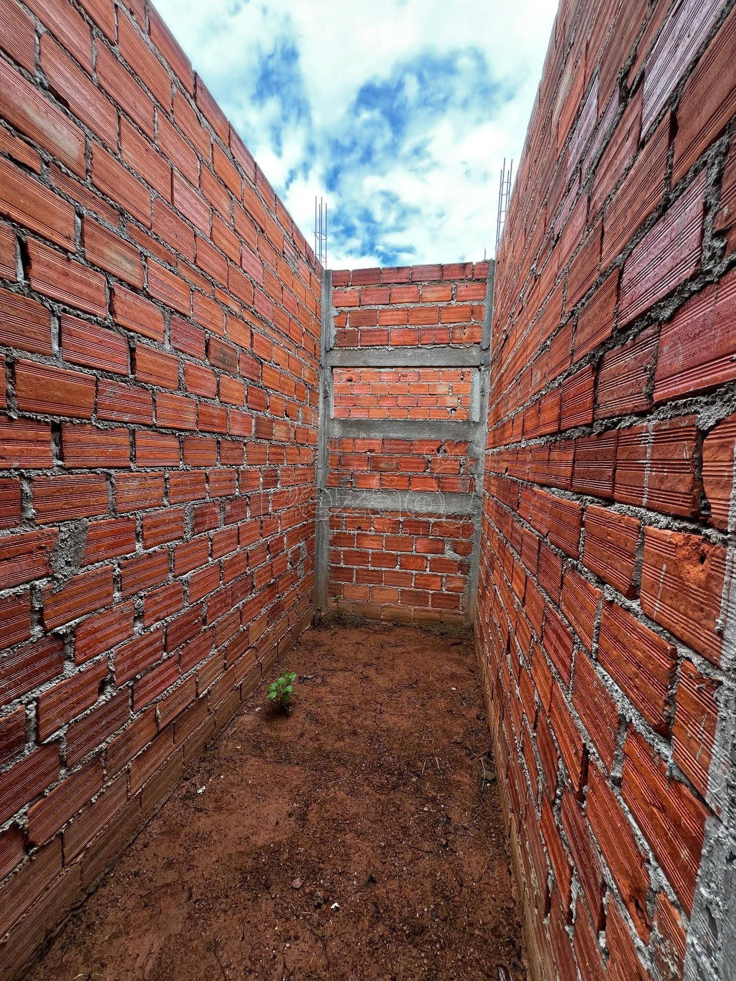 Casa, 3 quartos - Foto 13