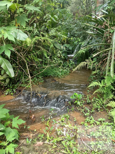 Compre Sítio com 2,7 alqueires possuindo cachoeira e água de nascente própria em Miguel Pereira por R$ 1.200.000