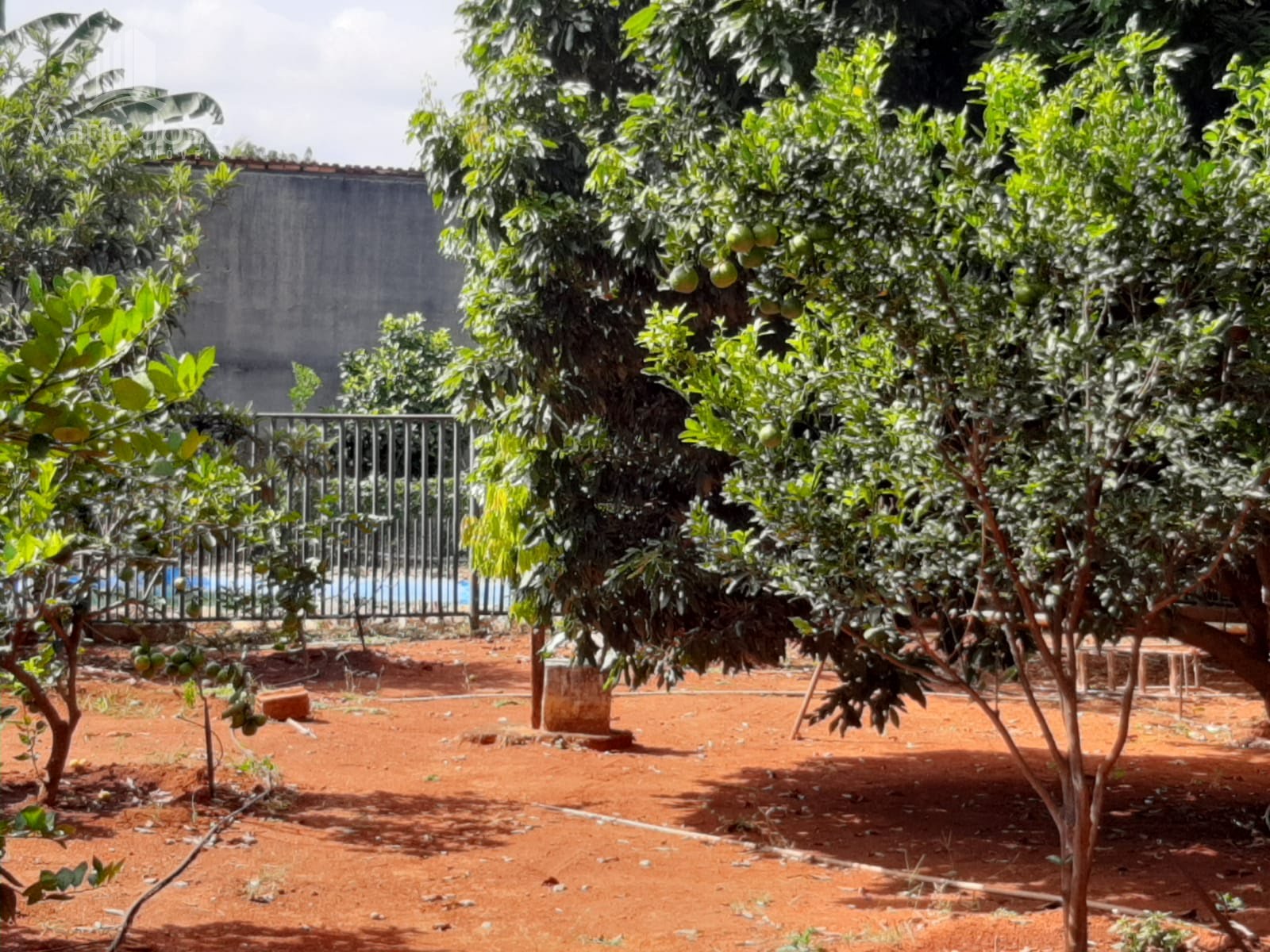 Casa à venda com 5 quartos, 3 suítes, 4 vagas e 1000m² no Titamar, Sete Lagoas (MG) — foto 20 de 21