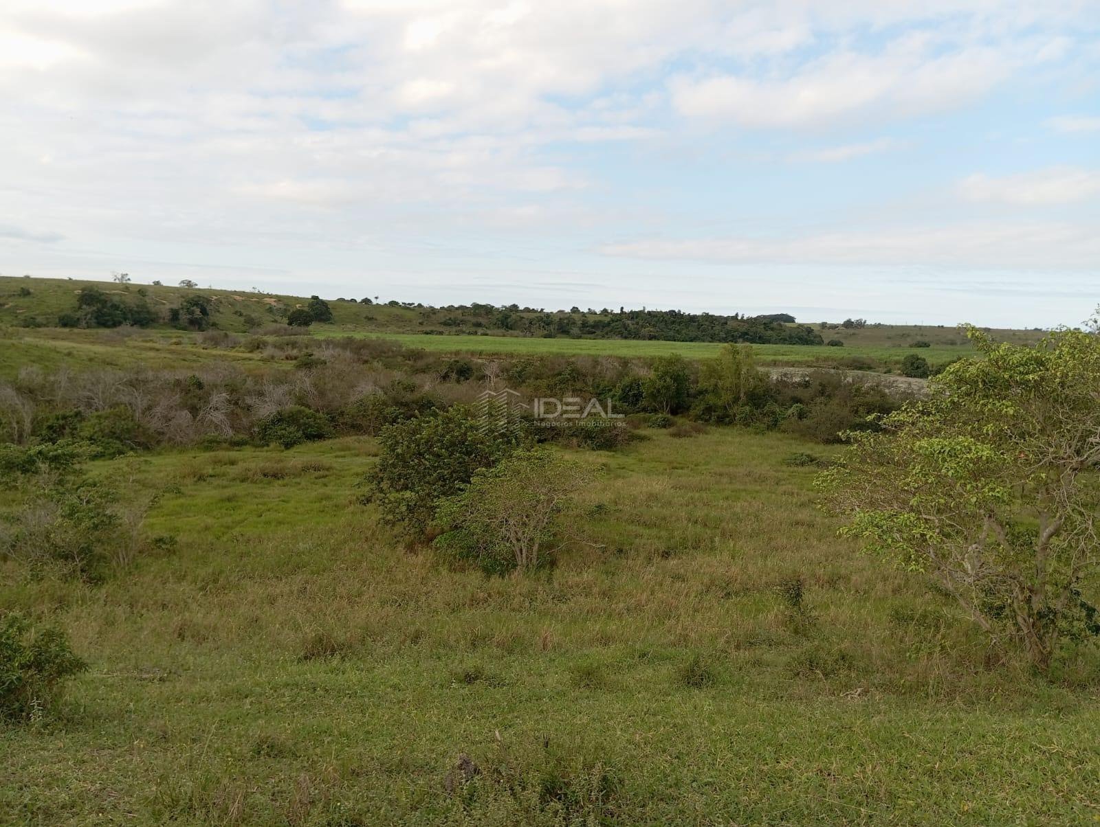 Rural à venda com 1280000m² de terreno no Valão Seco, São Francisco de Itabapoana (RJ) — foto 24 de 30