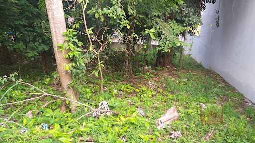 Terreno  à Venda em Chácara Monte Alegre  -  São Paulo