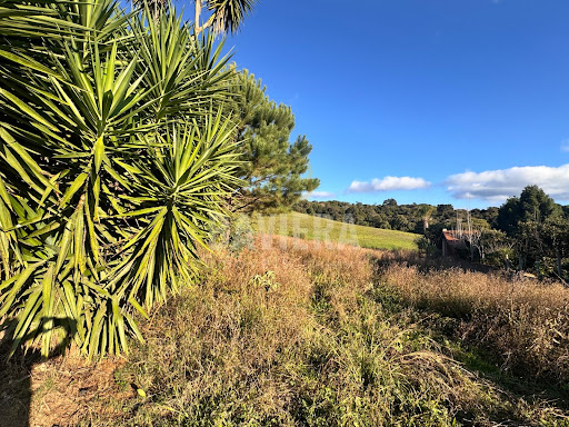Lote Bairro Cruzeiro 1.600m²