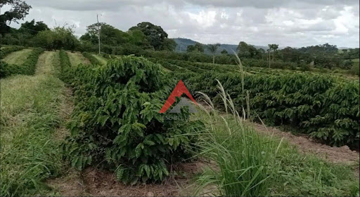 Sítio produtivo em Lavras/MG