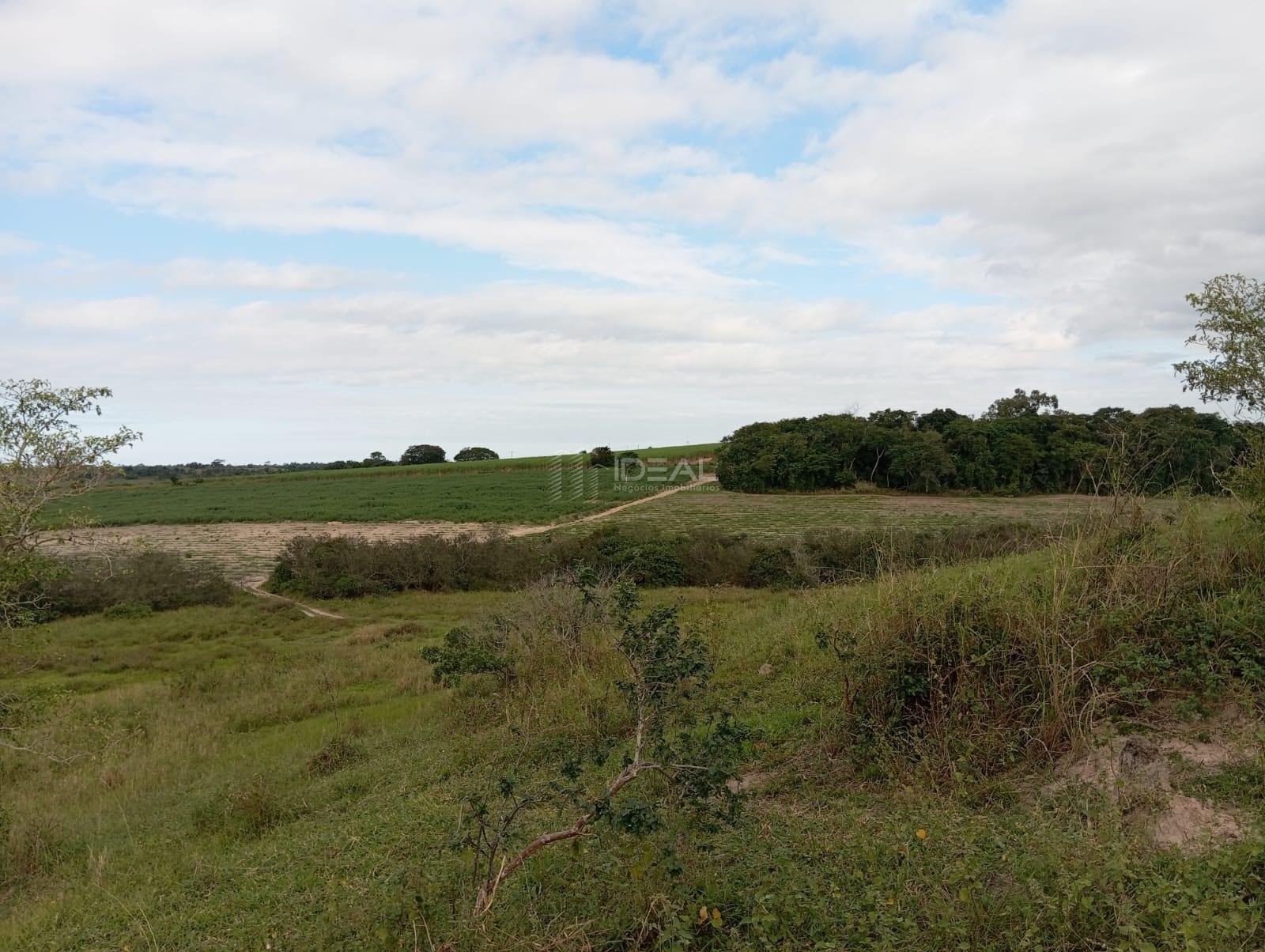 Rural à venda com 1280000m² de terreno no Valão Seco, São Francisco de Itabapoana (RJ) — foto 25 de 30