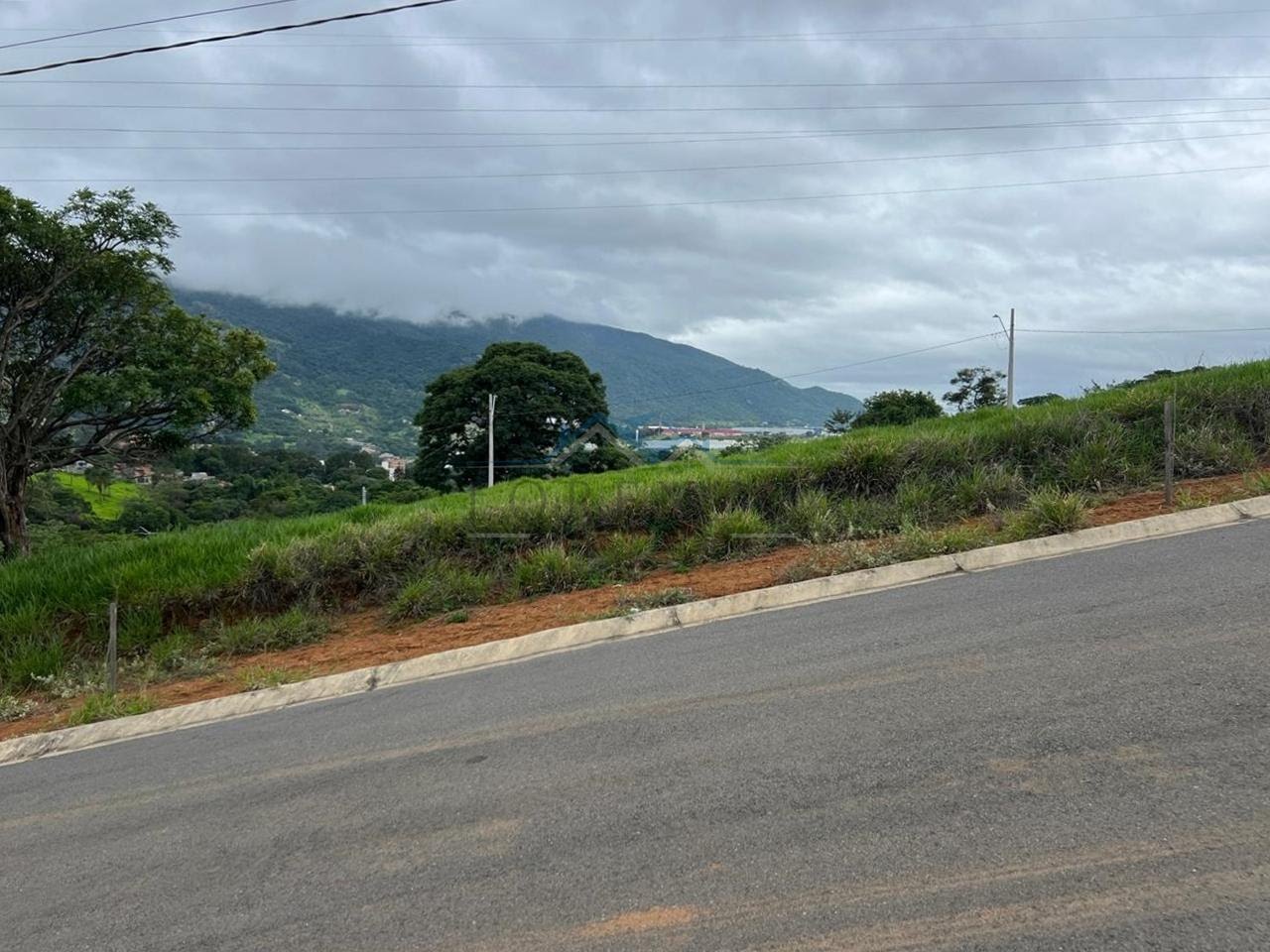 VISTA DA RUA 