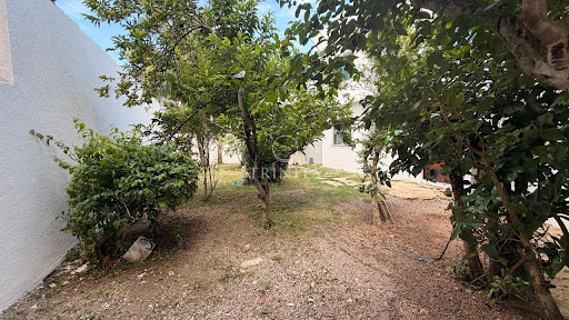 Jardim 